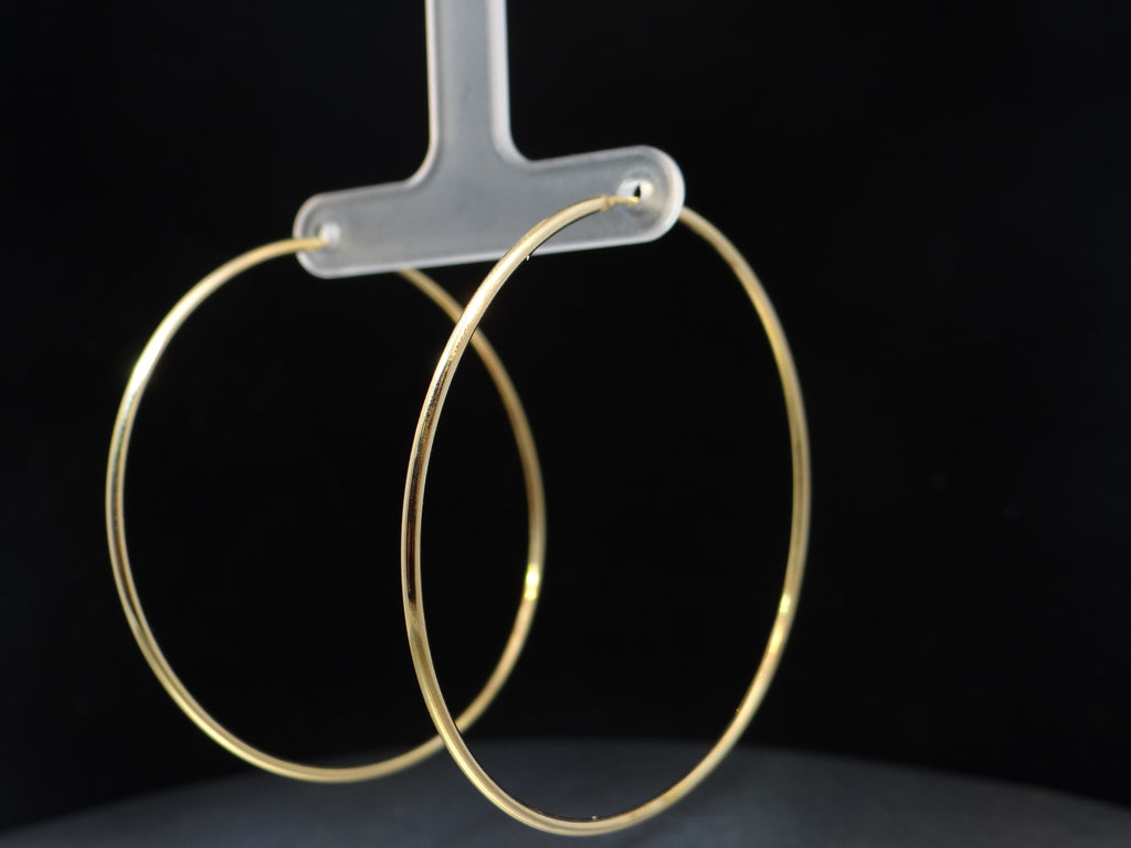 Gold Hoop Earrings